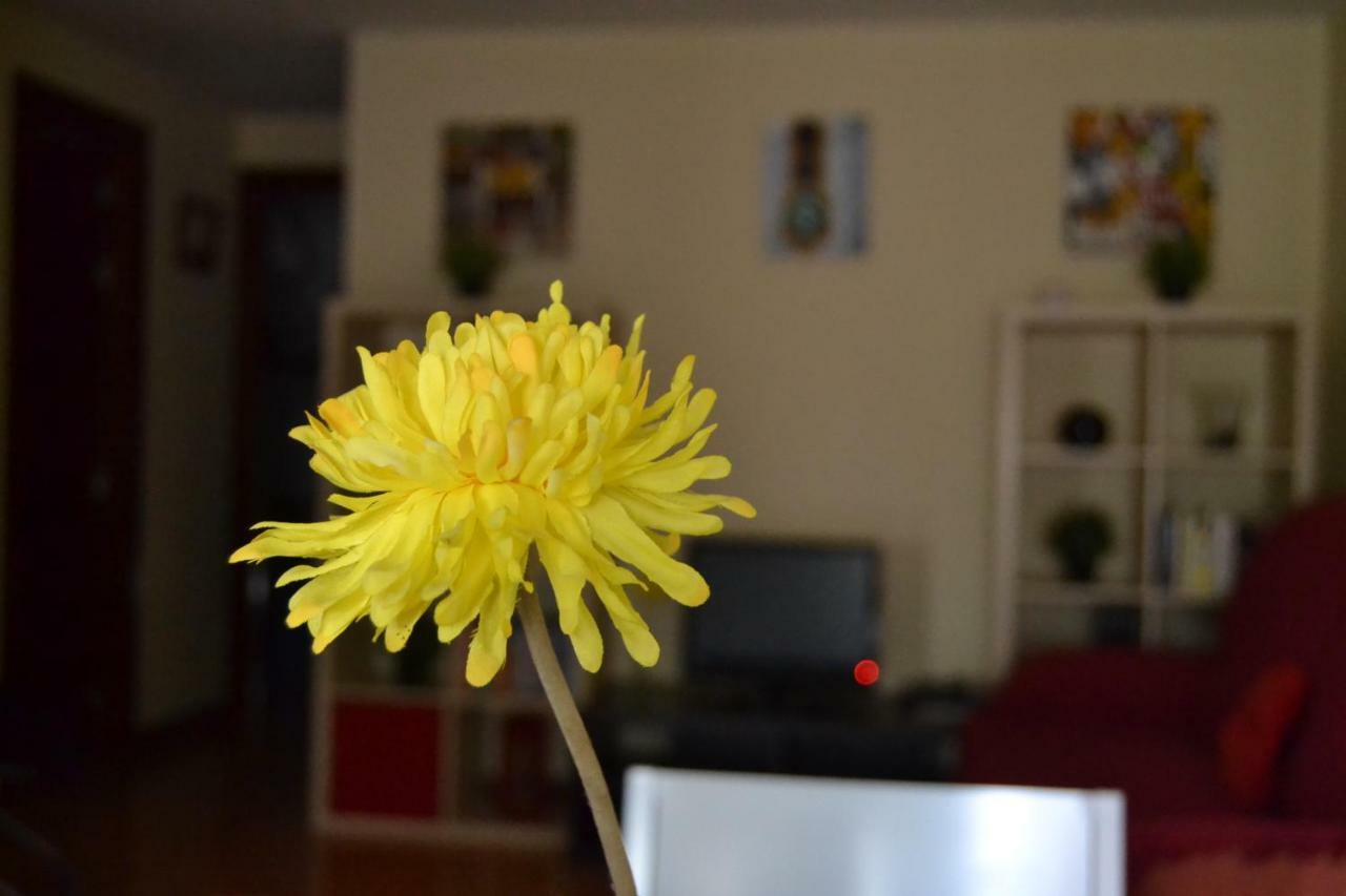 Apartamento Turistico Dct. Creus Гуадалахара Екстериор снимка